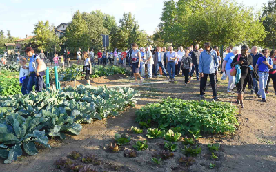 Agricoltura sociale e valorizzazione del territorio